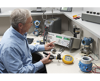 fluke distributor singapore